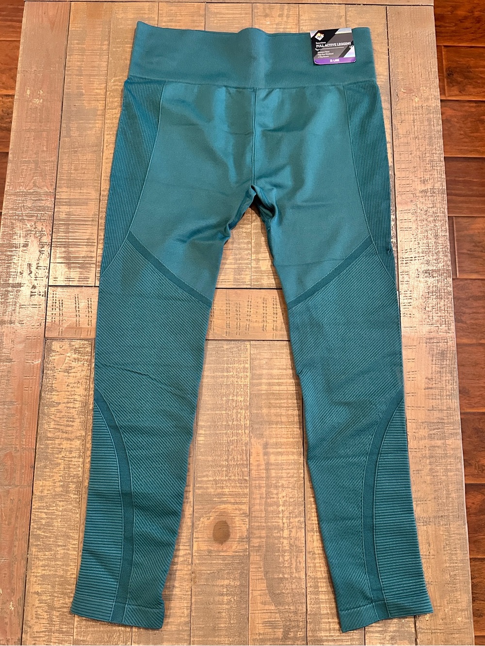 Plus Size- Teal- Seamless Leggings